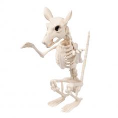 Rat Skeleton