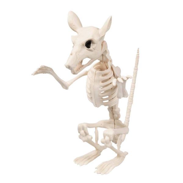 Rat Skeleton - RDLF-72404