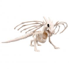 Dragon Skeleton