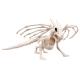 Miniature Dragon Skeleton
