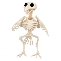 Bird Skeleton