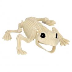 Frog Skeleton