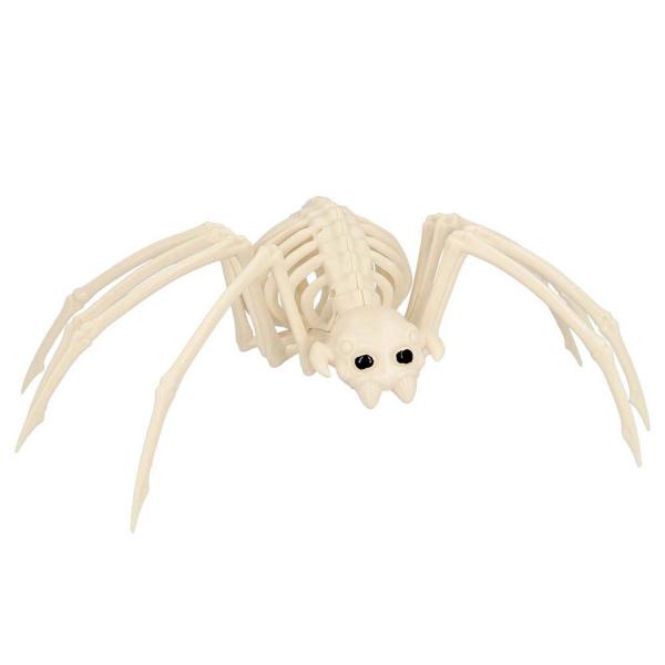 Spider Skeleton - RDLF-72412