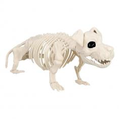 Dog Skeleton