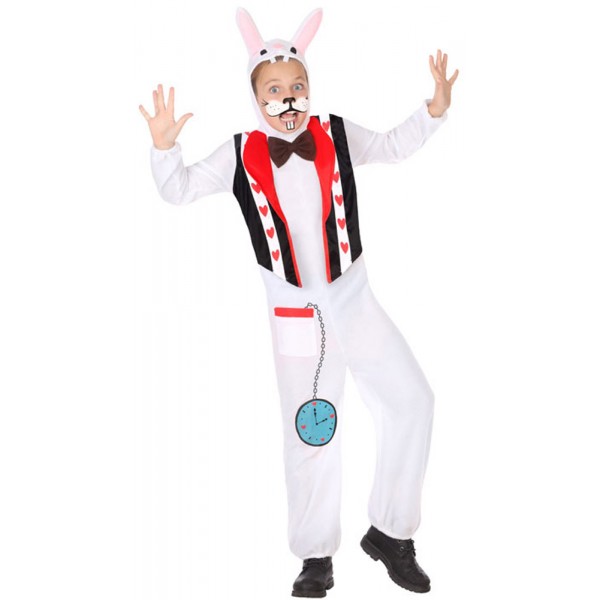 Crazy Rabbit Costume - Child - 56867-parent