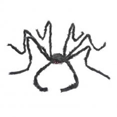 Giant Hairy Spider: Black