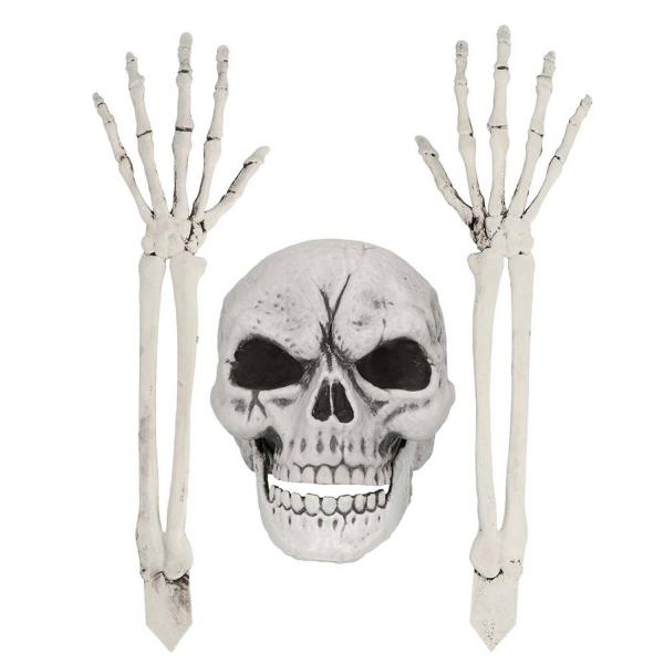 Skeleton set: Skull and arms - RDLF-73044