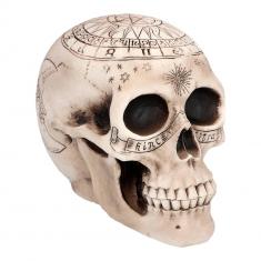 Skull: Astronomy