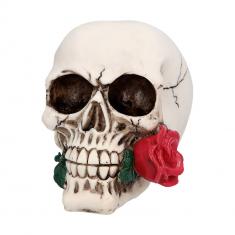 Skull: Casanova