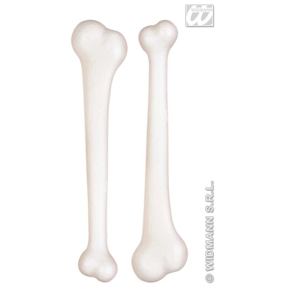 Lot Of 2 Bones - 2314M