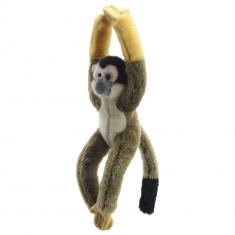 Canopy Climbers - Squirrel Monkey