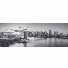 6000 piece puzzle : panoramic : Manhattan  