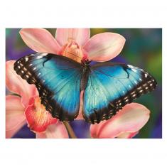 Puzzle de 500 piezas: Mariposa