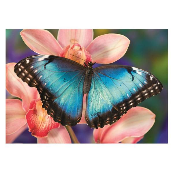 Puzzle de 500 piezas: Mariposa - Dino-502499