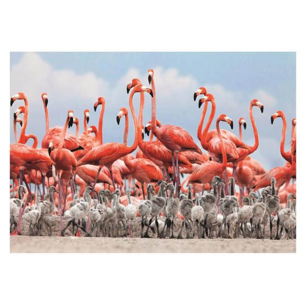 flamingoes 500 pieces puzzle - Dino-502505