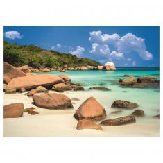 beach 2000 puzzle