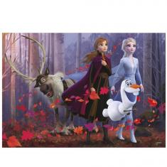 Puzzle 300 pièces XL : La Reine des Neiges 2