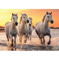 Puzzle 500 pièces : Chevaux dans les vagues