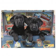 Puzzle 500 pièces : Chiots dans une valise