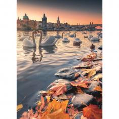 Puzzle de 1000 piezas: Cisnes en el Vltava