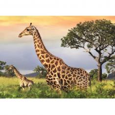 Puzzle 1000 pièces : Famille Girafe
