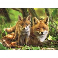 XL-Puzzle mit 300 Teilen: Fuchs mit Jungtier