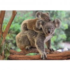 Puzzle 300 pièces XL : Koala avec son petit
