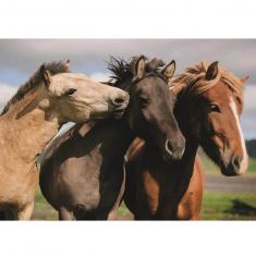 colorful horses 300 xl puzzle new