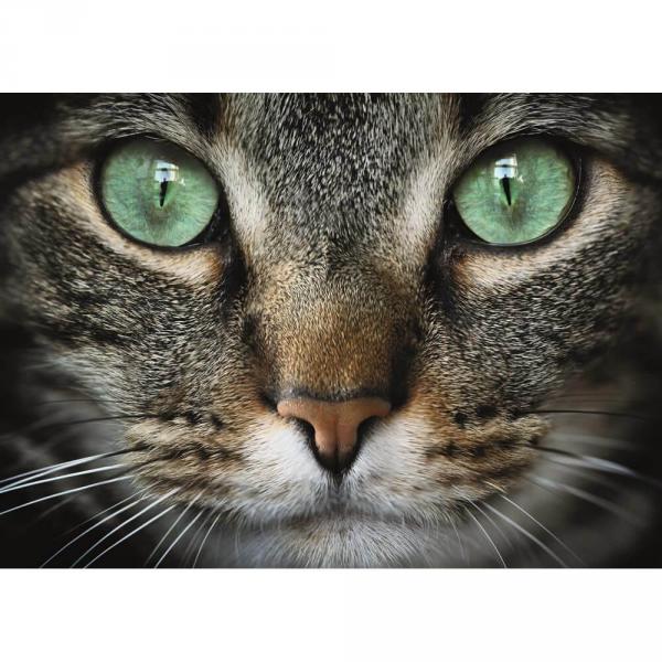 green-eyed cat 300 xl puzzle new - Dino-472235