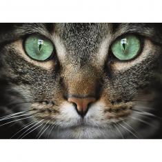 Puzzle 300 Piezas XL: Gato con ojos verdes