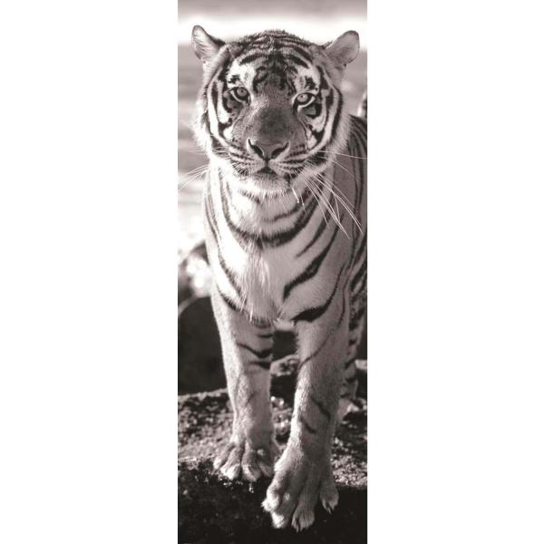 tiger 1000 panoramic puzzle - Dino-545434