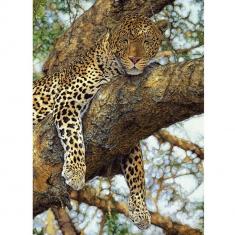 Puzzle 1000 piezas: Leopardo