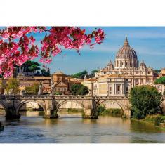 500 piece puzzle: St. Peter's Basilica