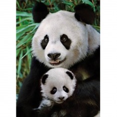 Puzzle 1000 pièces : La famille Panda