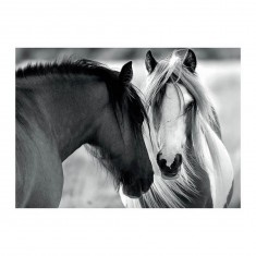 Puzzle 1000 pièces : Chevaux en noir et blanc