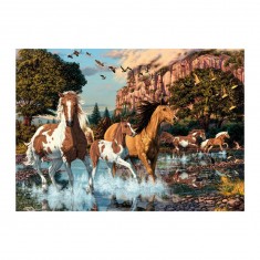 Puzzle 1000 pièces : Les chevaux