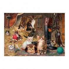 1000 Teile geheimes Puzzle: Katzen