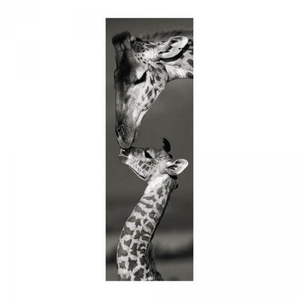 1000 pieces puzzle: giraffes - Dino-545373