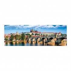 hrad?any castle 1000 panoramic  new