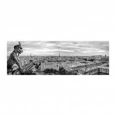 1000 Teile Panorama-Puzzle: Gargoyle of Paris