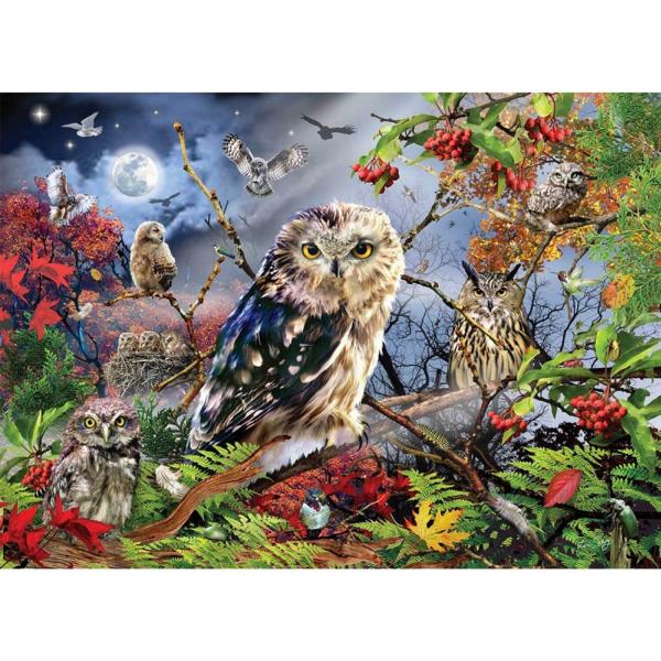 1000 pieces puzzle : owls in the moonlight - Diset-18859