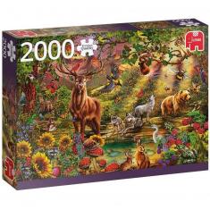 Puzzle 2000 pièces : Forêt Magique au Coucher du Soleil