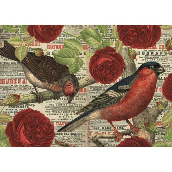 Puzzle 500 pièces : Les Oiseaux Aiment les Fleurs - Diset-18398