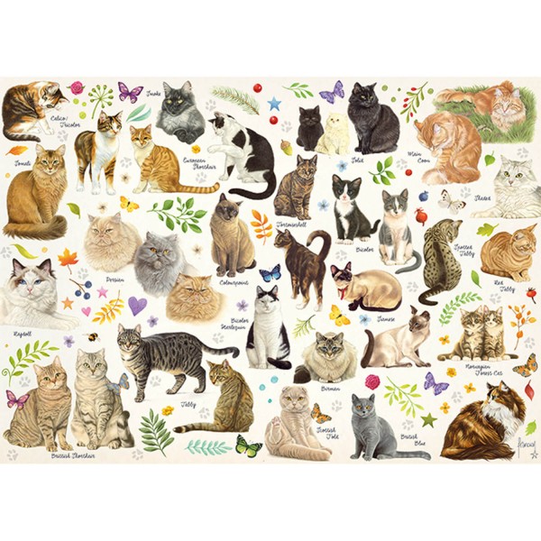 1000 pieces puzzle: Cat poster - Diset-18595