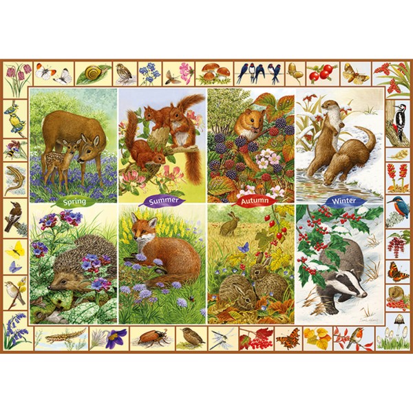1000 pieces puzzle: Fauna by season - Diset-11200