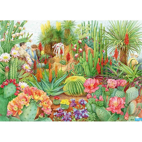 1000 pieces puzzle: desert plants - Diset-11254