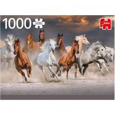 1000 Teile Puzzle : Wüstenpferde