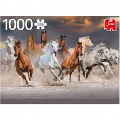 1000 pieces puzzle : Desert horses