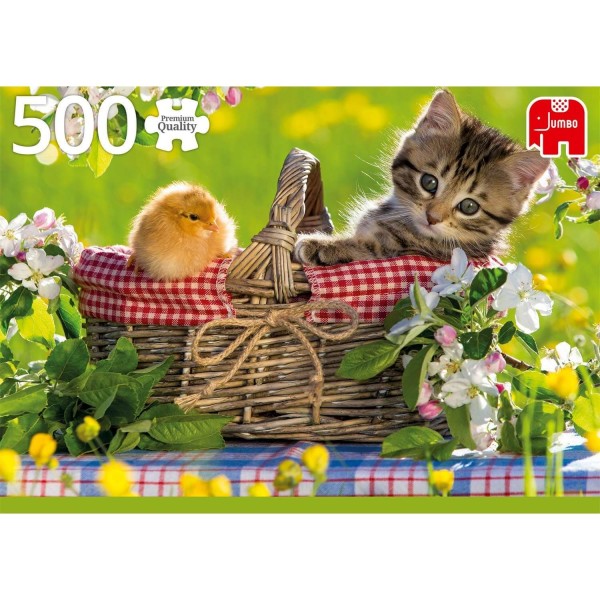 500 pieces puzzle: Ready for a picnic - Diset-18801