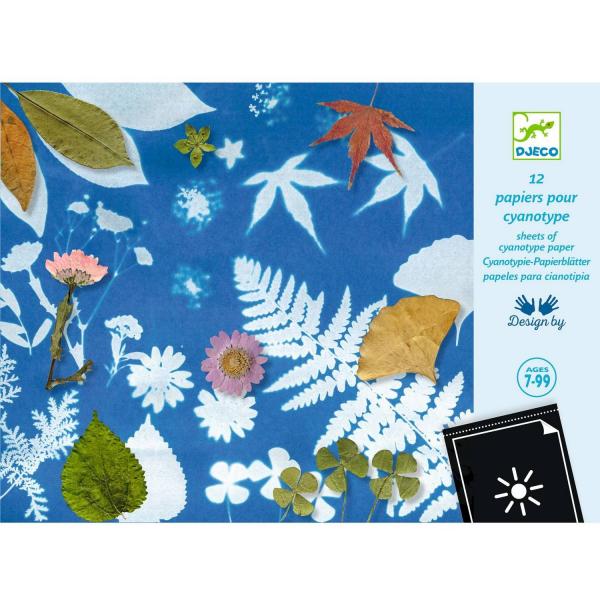 Recharge pour coffret Cyanotype : Papier pour Cyanotype - Djeco-DJ09338